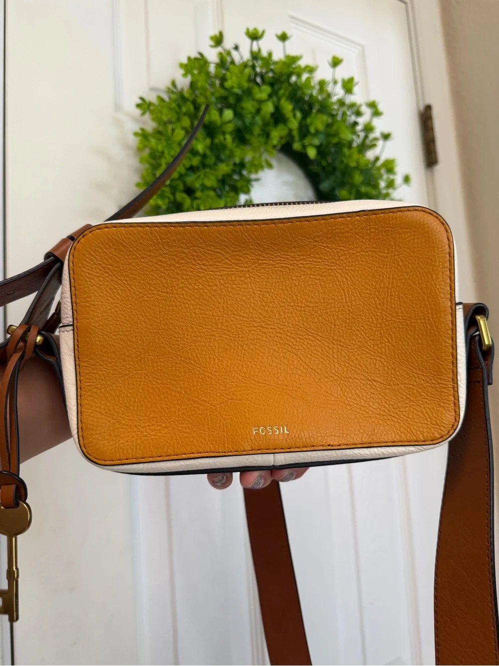 Fossil super cute